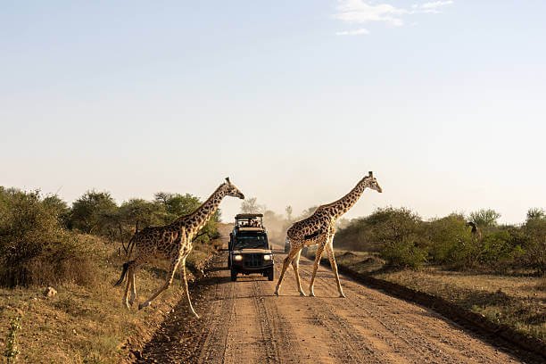 Travel image